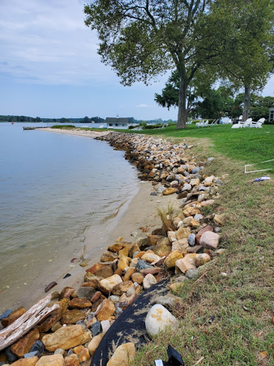 living shoreline