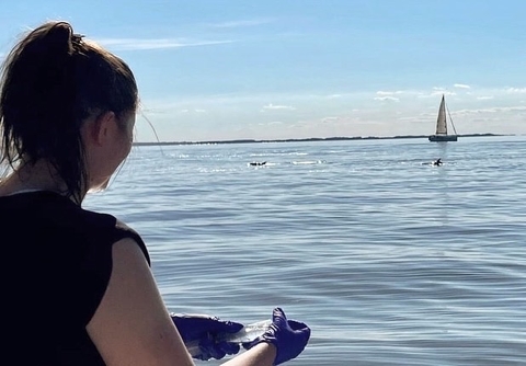 Rodriguez collects an E-DNA sample as dolphins swim near a sailboat in the Chesapeake Bay