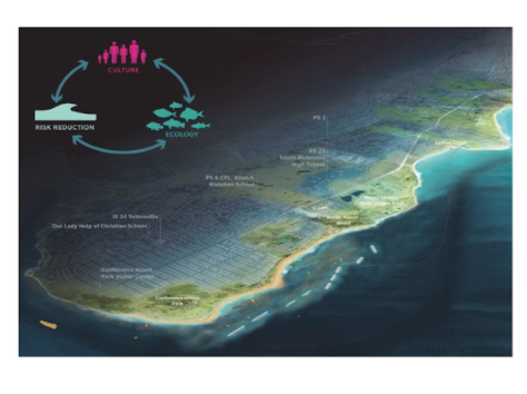 Graphic showing living breakwaters