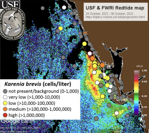 K. brevis cells off the Florida coastline.