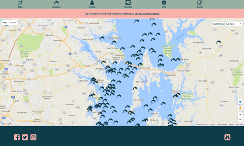 Image shows a map of Chesapeake Bay with dark blue dolphin symbols appearing where dolphins have been reported to Chesapeake DolphinWatch. There are approximately 50 dark blue dolphin symbols from top to bottom. 