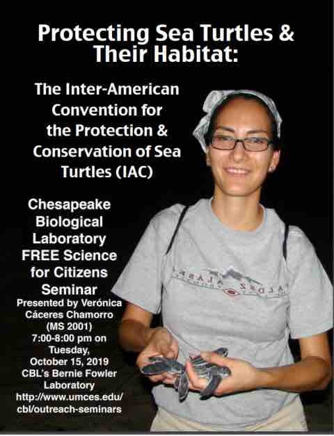 Speaker holds sea turtle hatchlings