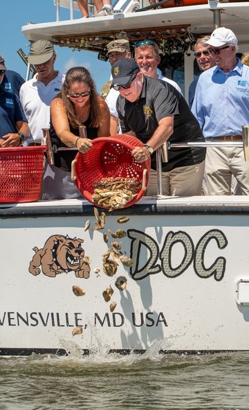 UMCES’ Horn Point Oyster Hatchery Manager Stephanie Alexander joins Governor Larry Hogan for a ceremonial oyster planting to celebrate a milestone in the Chesapeake Bay restoration effort.