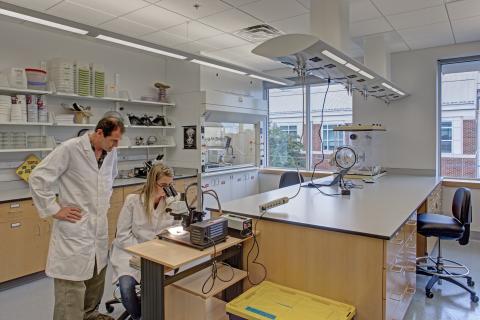 A lab space inside CBL's Truitt Laboratory.