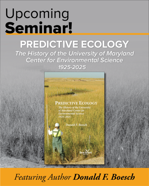 Book cover with field worker in front of background of in tall grey grass. 