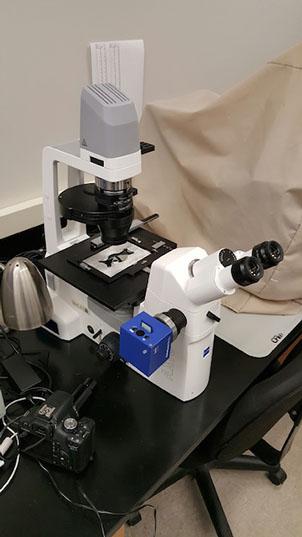 Zeiss AxioVert A1 Inverted Microscope
