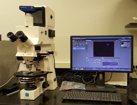 Zeiss AxioPhot Fluorescent Microscope