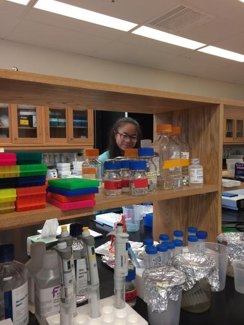 Abigail Reid in the laboratory at the Appalachian Laboratory 