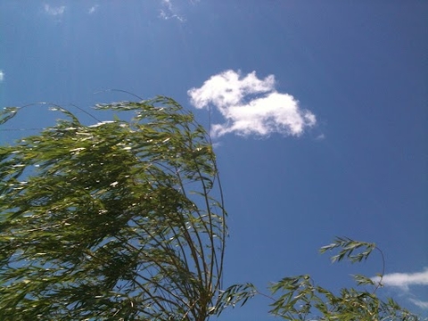 a blue sky with a single cloud