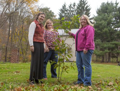 Photo Landowner with Appalachian Lab Scientists for the CRAC Project with chestnut seedling