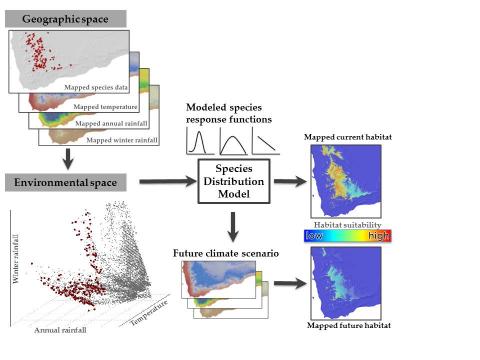distribution climates occurrence sdms