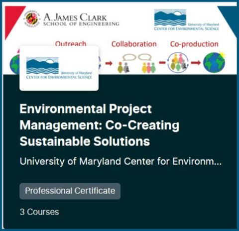 Environmental Project Management Co-creating Sustainable