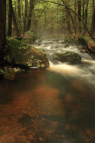 Photo of a Maryland stream