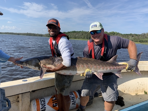 Two people standing in a boat holding a large sturgeon