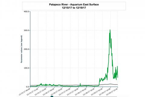 Eyes on the Bay chart of a late December spike in chlorophyll.