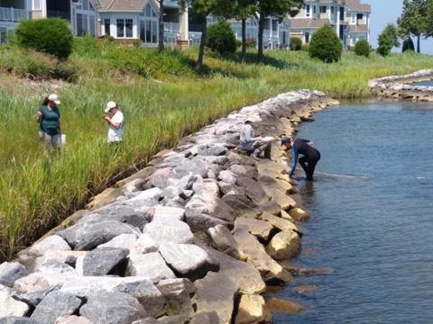 A housing community near water, separated by rock barrier