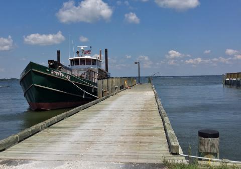 Robert Lee delivers oyster larvae to the Bay.
