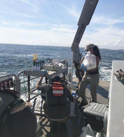 Sampling at in the Chesapeake Bay