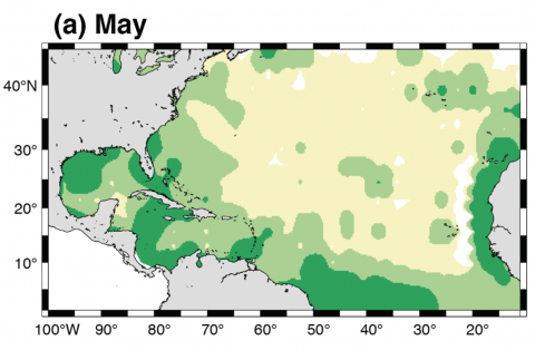 Snapshot of sargassum model that shows where it travels, mostly in the Gulf Coast and along the west coast of Africa.