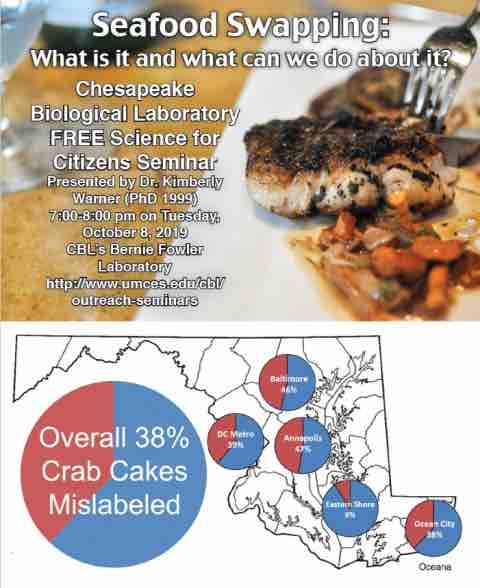 Pie chart: Overall 38% of crab cakes are mislabeled 