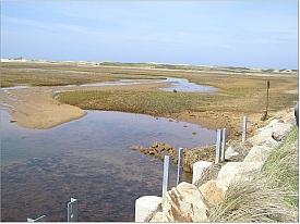Photo of Hatches Harbor National Seashore