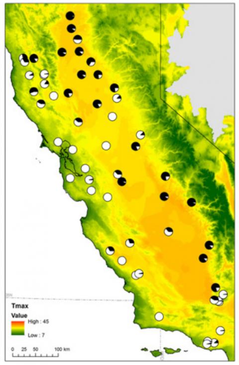 Map of the study region's maximum temperatures along with methylation levels per sample.