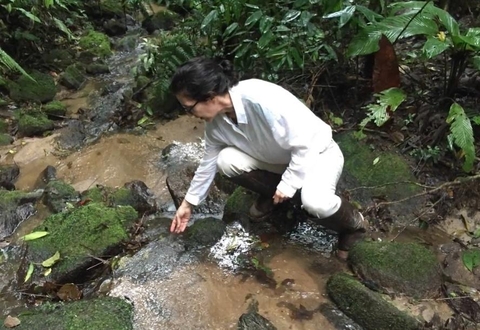 Solange Filoso collecting water
