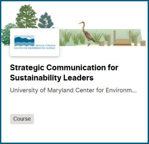 strategic communication for sustainability leaders