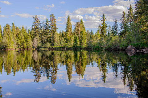 Boreal lake of Sweden. Credit: Michael Gonsior, UMCES