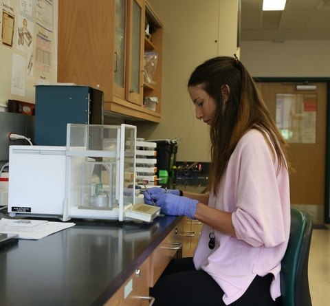 A scientist works at a lab table
