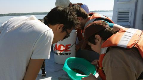 Maureen Brooks and the students in her zooplankton group observe what organisms were in the water they pulled from the river.