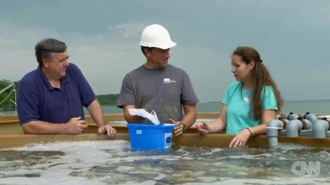 Mike Rowe visits Mutt Meritt and Stephanie Alexander at Horn Point's oyster hatchery for a segment on his show "Somebodoy's Gotta Do It."