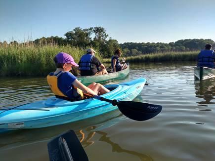 Parkers Creek paddle. Image courtesy of American Chestnut Land Trust.