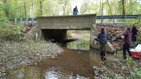 Septic detectives sampling Calvert County stream water