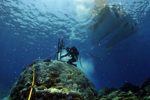 A scuba diver takes a core sample from coral on the bottom of the ocean.
