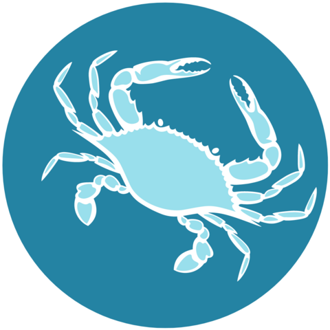 Crab icon