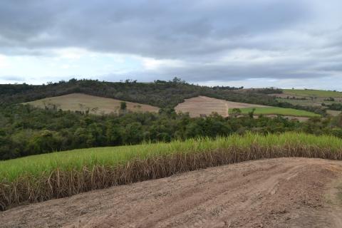 Sugarcane farming in Brazil