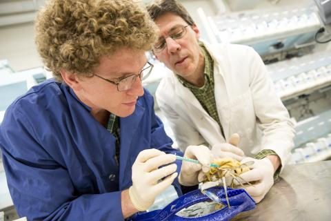 two scientists at work in the lab