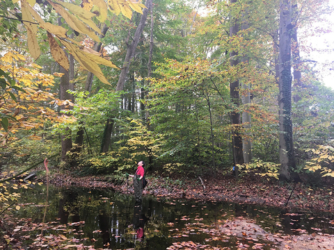 Dr. Solange Filoso monitoring a stream