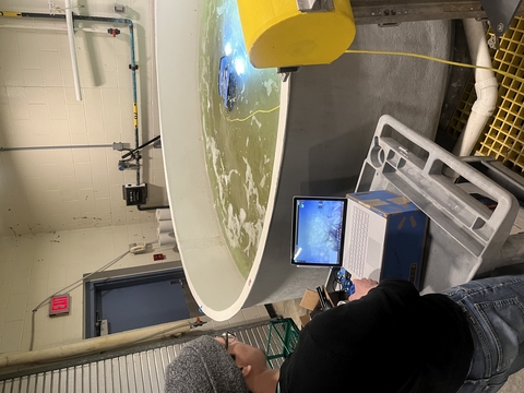 Alan Williams operating a underwater ROV in a lab tank