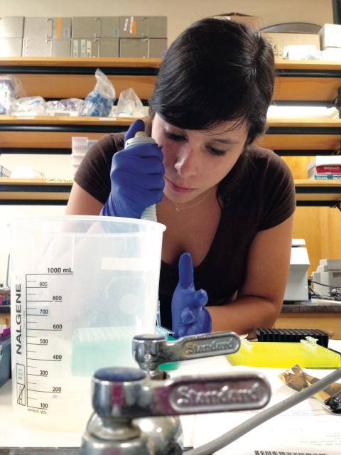 Graduate student Ana Sosa analyzing microorganisms on plastics in the lab.