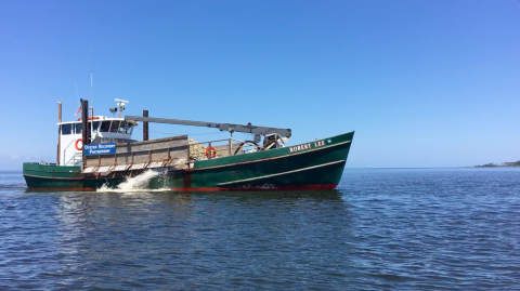 Robert Lee boat dumping oyster spat into Harris Creek