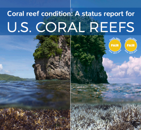 front page of US coral reports