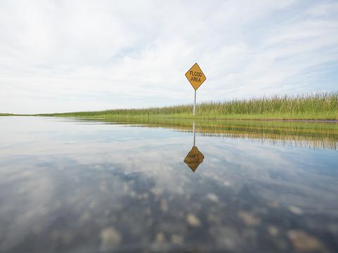 A road floods in Dorchester County. Film still from High Tide in Dorchester County.