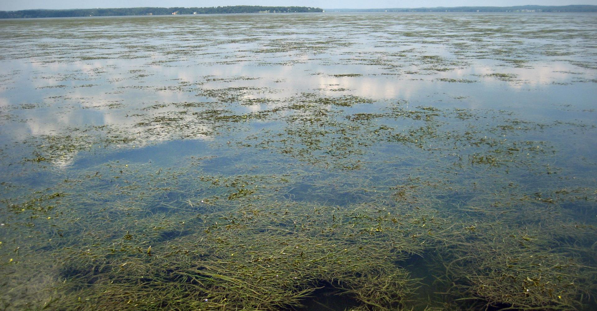 susquehanna flats