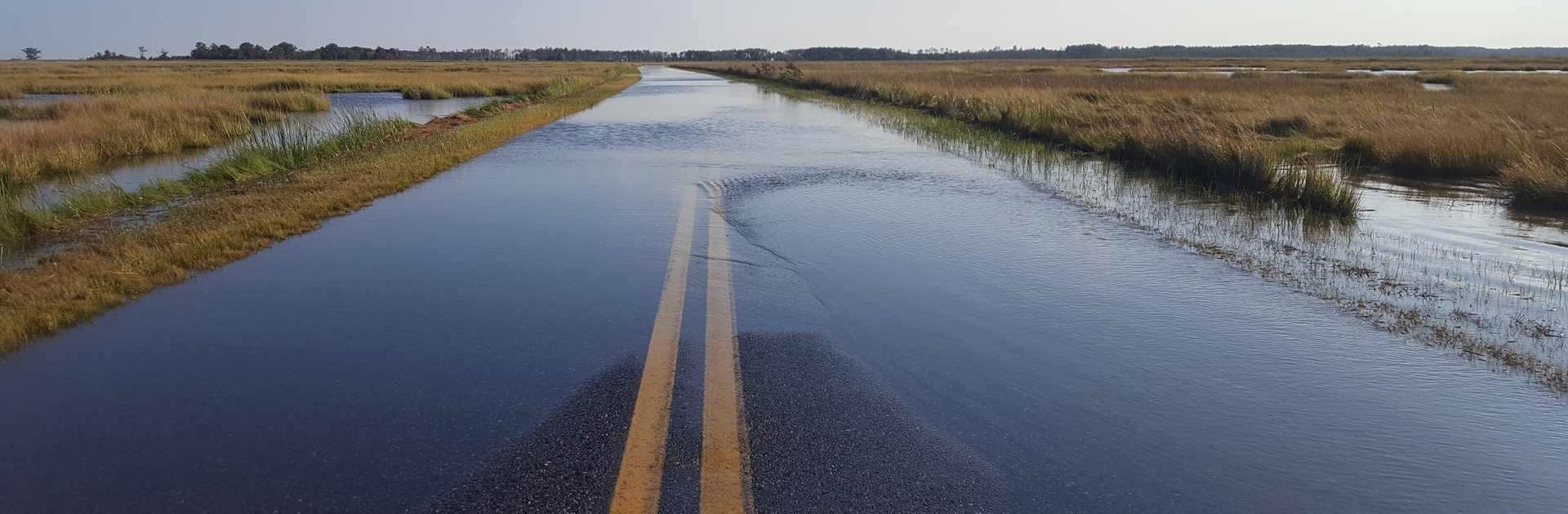 View of road flooding in Blackwater Wildlife Refuge, Dorchester County