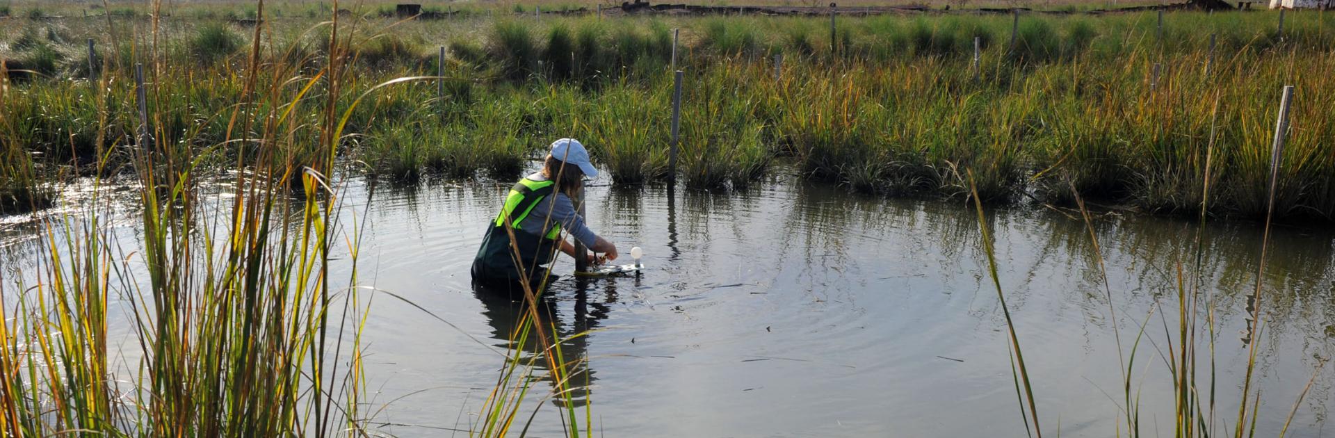 person standing in a pond