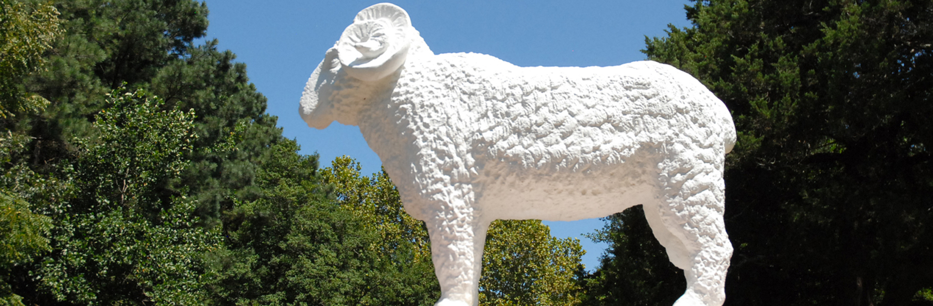 A statue of Don Pedro, a merino ram