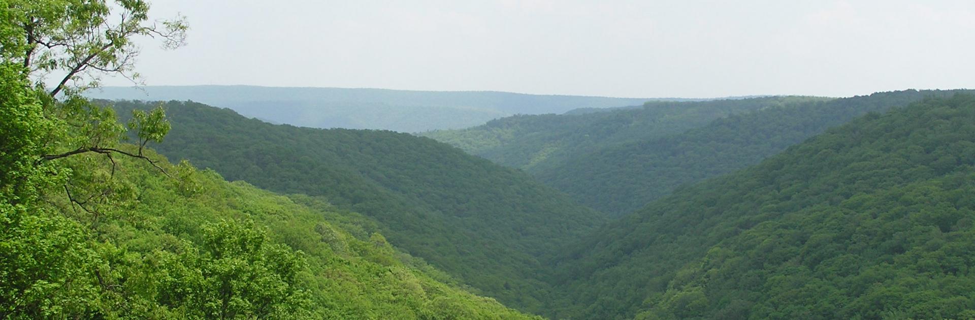 picture of Appalachian mountain range