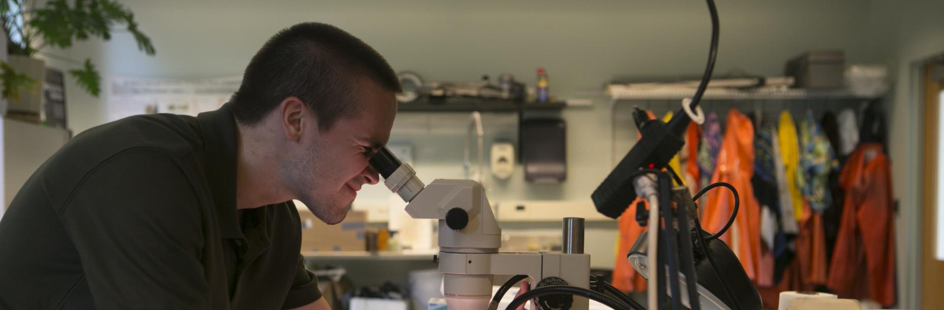 Graduate student looks through a microscope